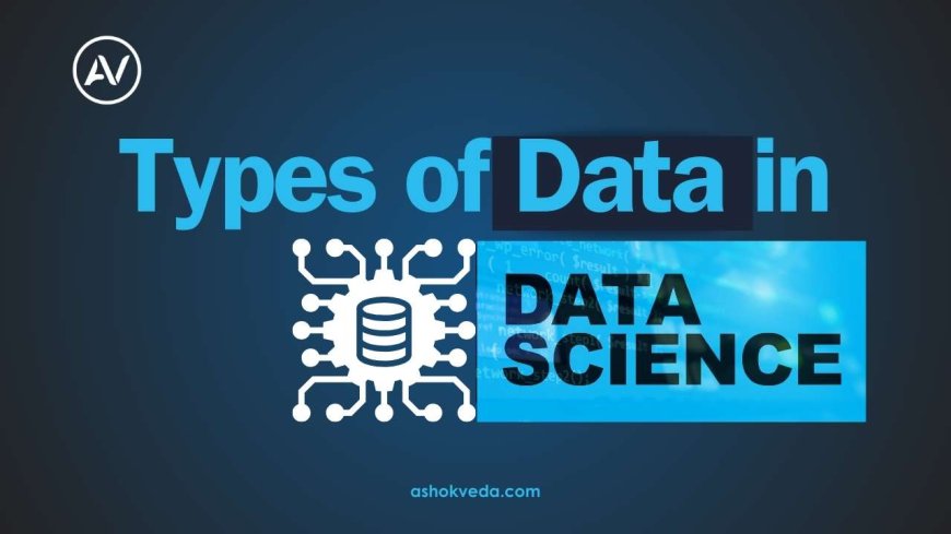 Understanding the Types of Data in Data Science