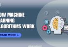 How Machine Learning Algorithms Work