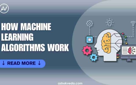 How Machine Learning Algorithms Work