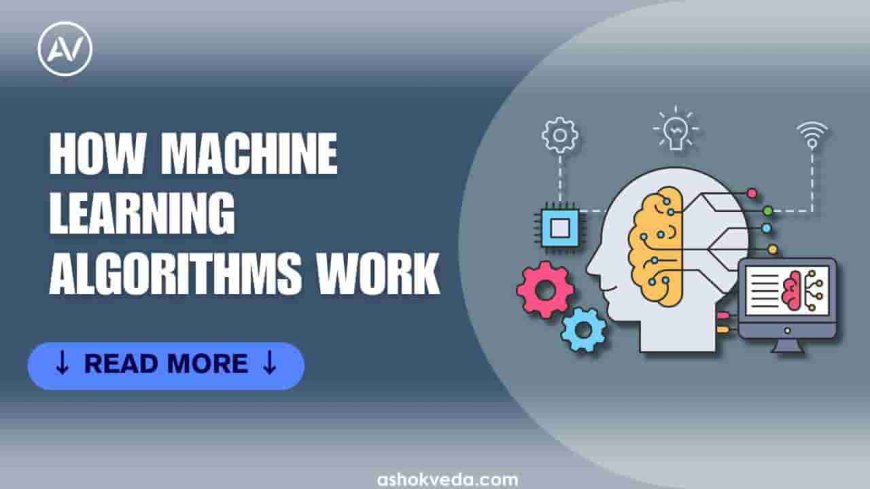 How Machine Learning Algorithms Work