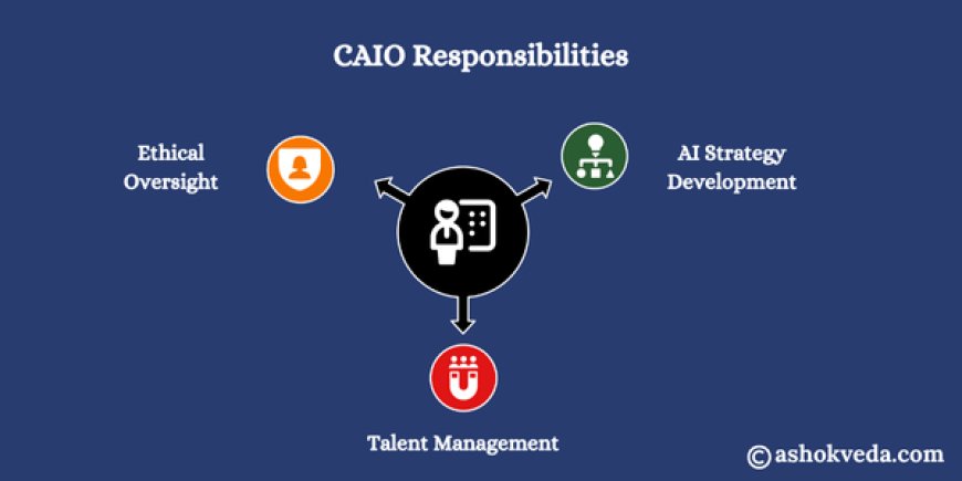 CAIO Responsibilities