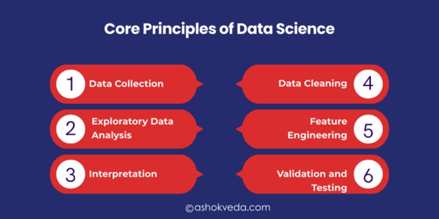 Core Principles of Data Science