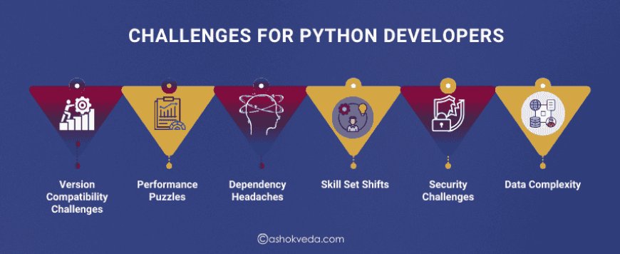 Challenges for Python Developers